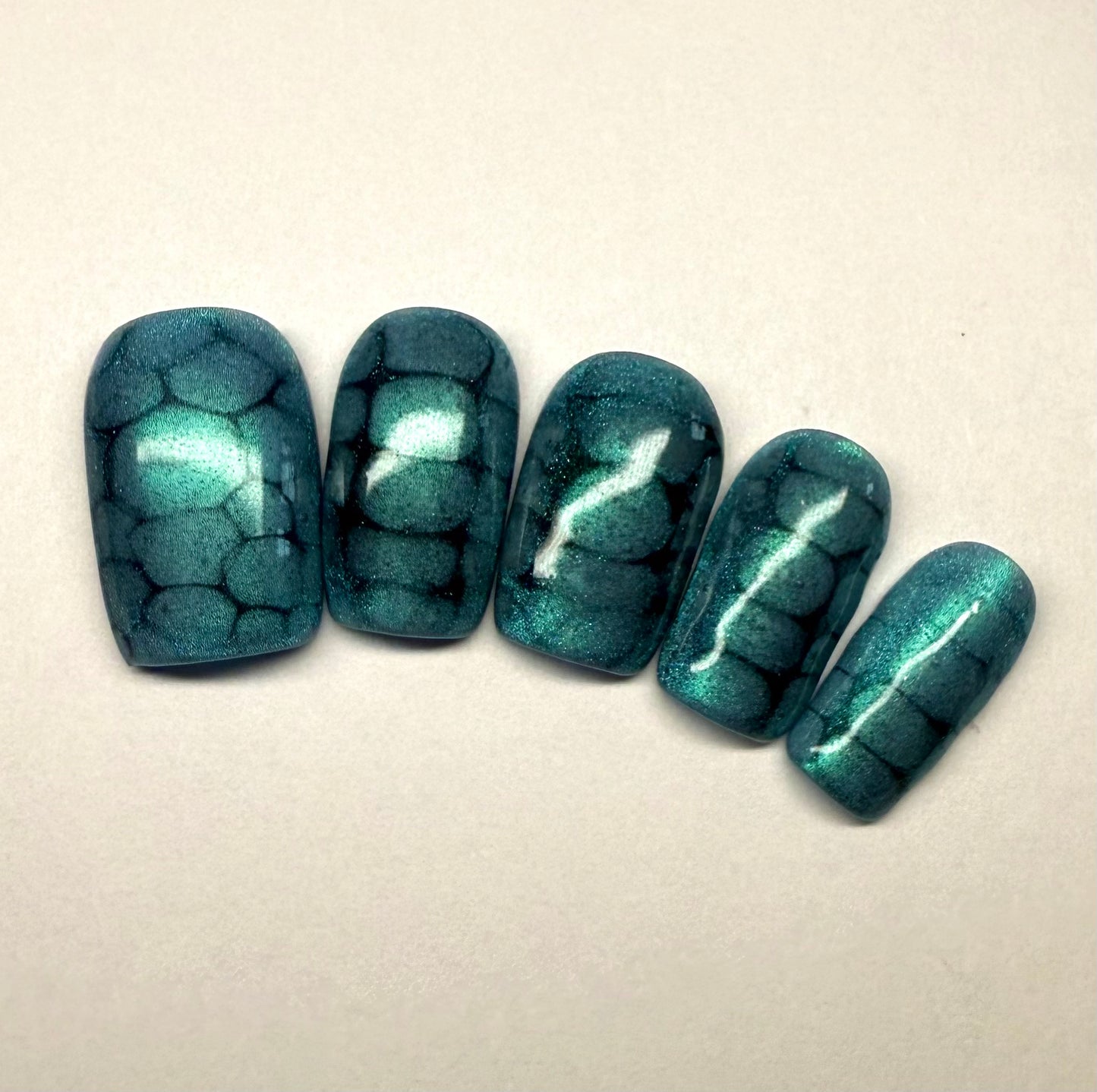 Blue Turtle Print