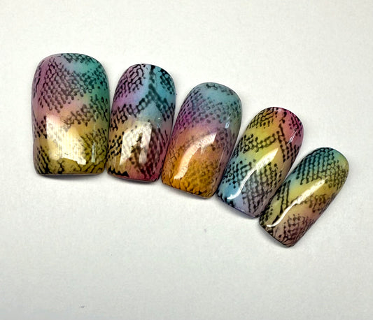 Rainbow Snake Print